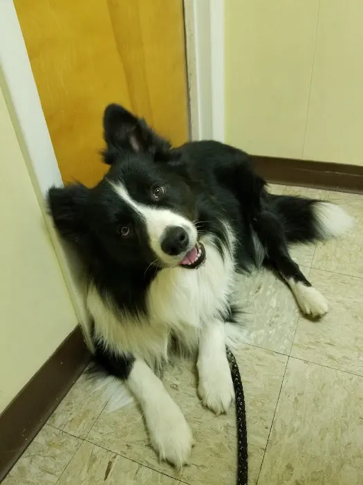 Stephens City Animal Hospital 12