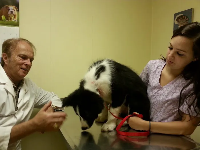 Stephens City Animal Hospital 12