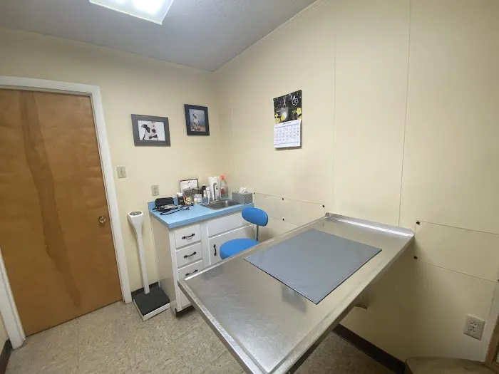 Stephens City Animal Hospital 12