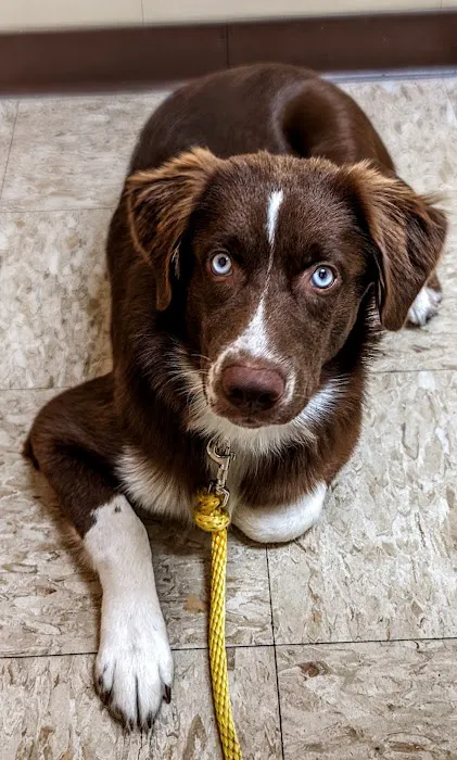 Stephens City Animal Hospital 12