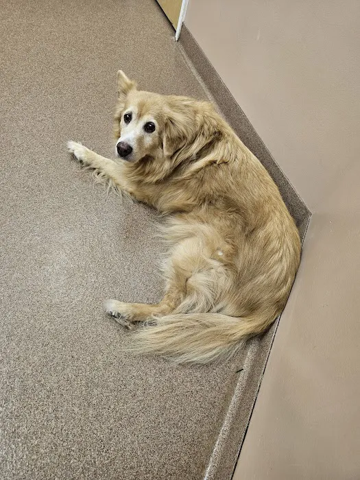 Animal Medical Center of Frederick County 12