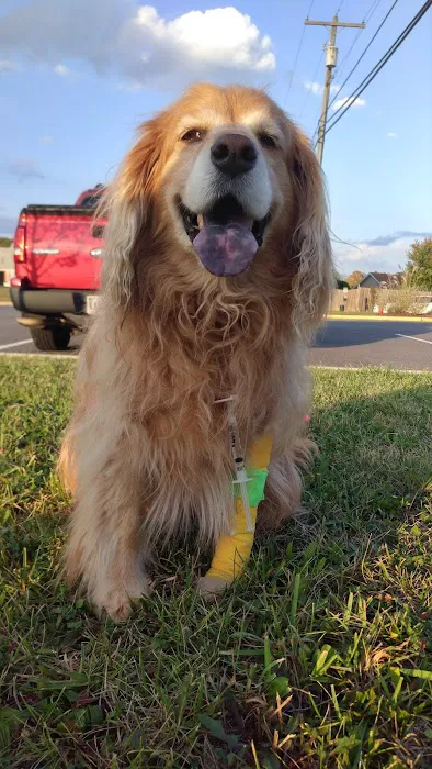 Animal Medical Center of Frederick County 12