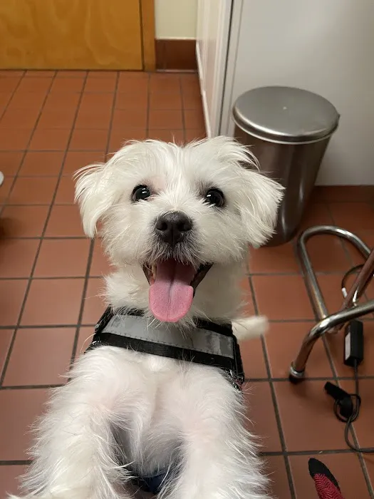 Newtown Veterinary Clinic 12