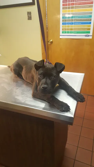 Newtown Veterinary Clinic 12