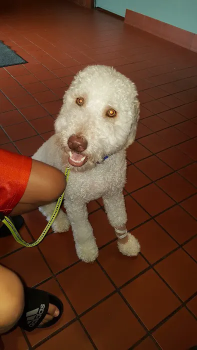 Newtown Veterinary Clinic 12