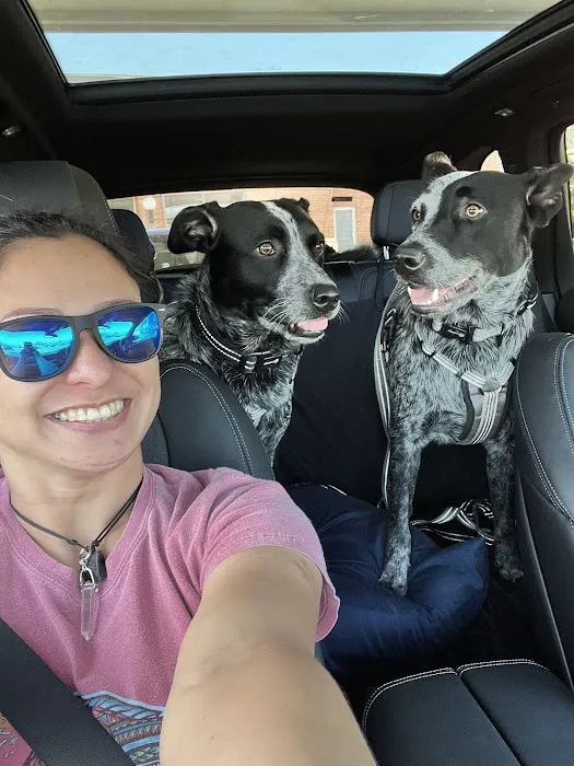 Acorn Veterinary Centers 12