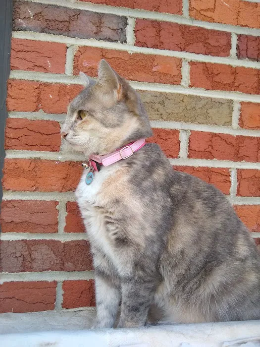 Boonsboro Veterinary Hospital 5