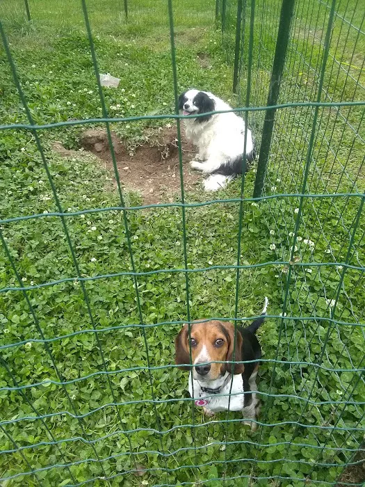 Boonsboro Veterinary Hospital 10