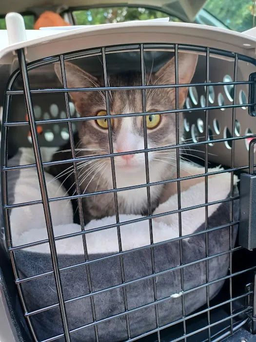 Boonsboro Veterinary Hospital 3