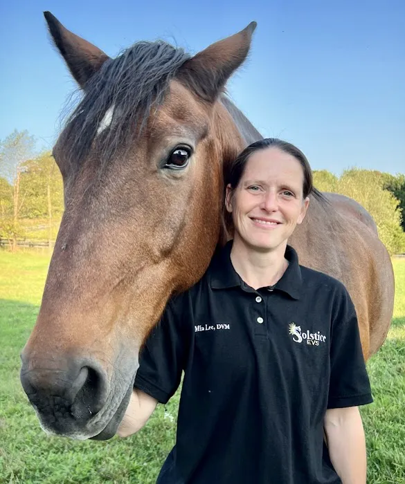 Solstice Equine Veterinary Services 12