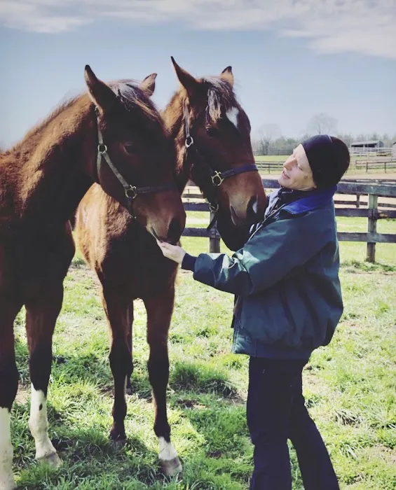 Solstice Equine Veterinary Services 12