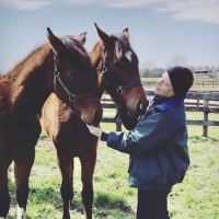 Solstice Equine Veterinary Services ico