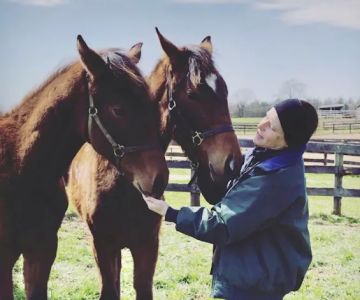 Solstice Equine Veterinary Services