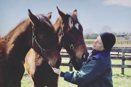 Solstice Equine Veterinary Services