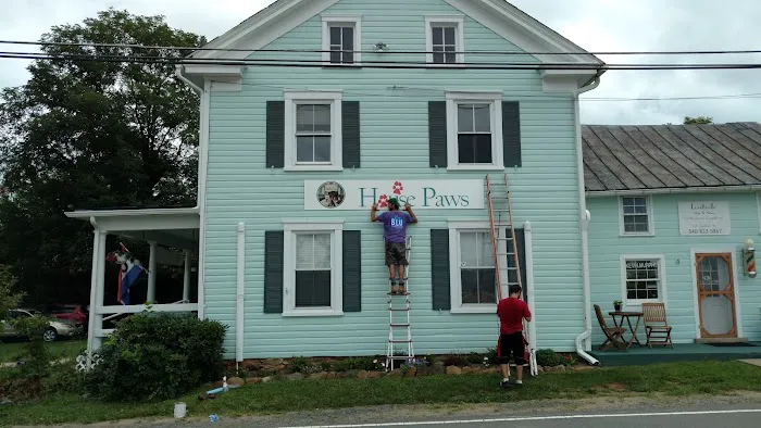 House Paws Animal Hospital Lovettsville 12