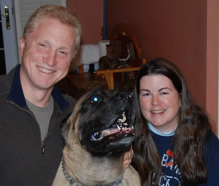 House Paws Animal Hospital Lovettsville 12