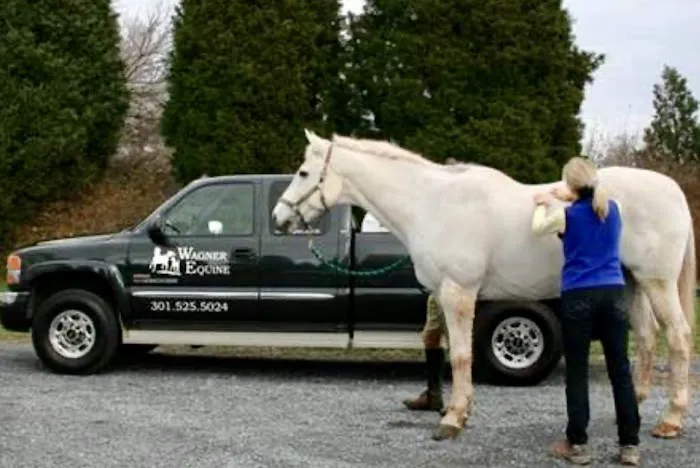 Wagner Equine Veterinary Services 12