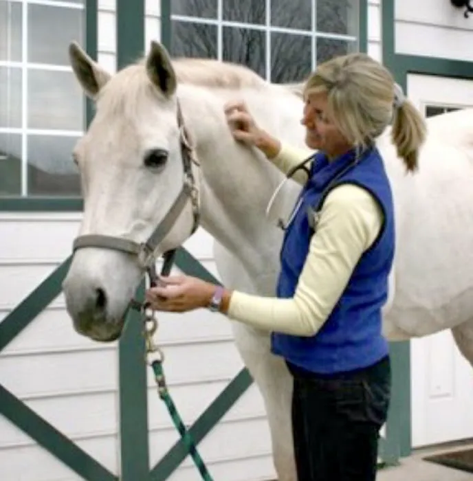 Wagner Equine Veterinary Services 12