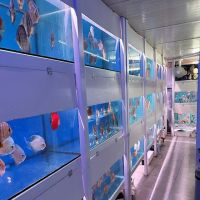 Amazing Discus Aquarium (James Aquarium) ico