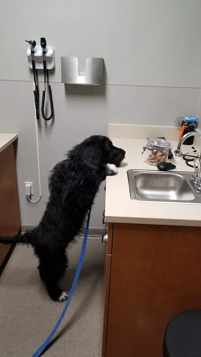 Mid-Atlantic Veterinary Hospital 4