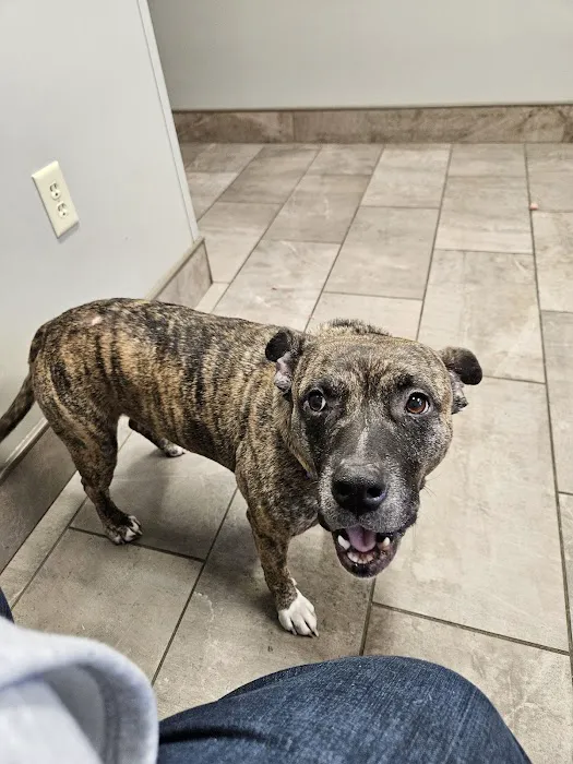 Mid-Atlantic Veterinary Hospital 2