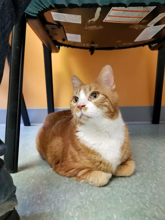 Mid-Atlantic Veterinary Hospital 3