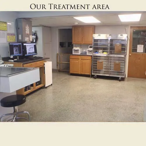Animal Health Clinic of Funkstown 7