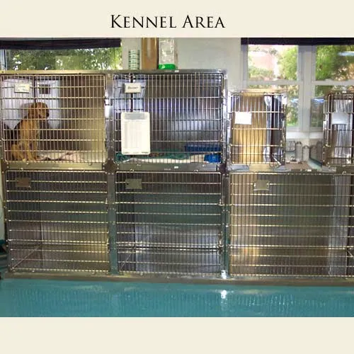 Animal Health Clinic of Funkstown 1