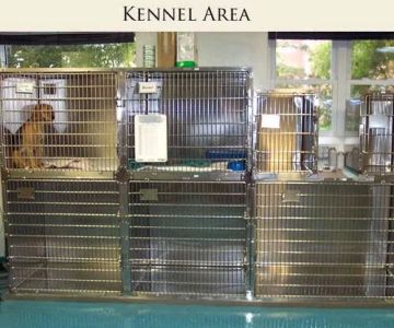 Animal Health Clinic of Funkstown