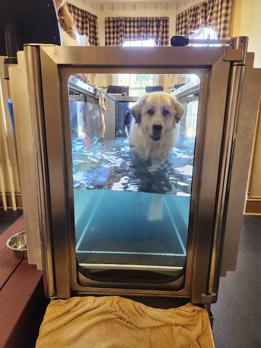 Animal Rehab & Pain Center 3