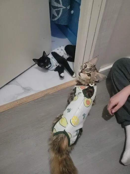Fifty Shades of Furr 9