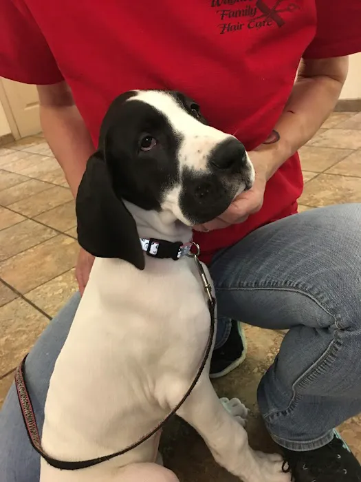 Waynesboro Veterinary Clinic 9