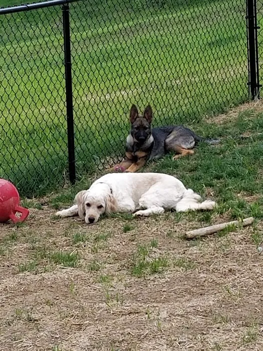 Greencastle Veterinary Hospital 9