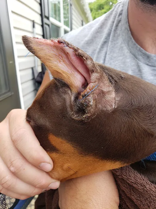 Greencastle Veterinary Hospital 3