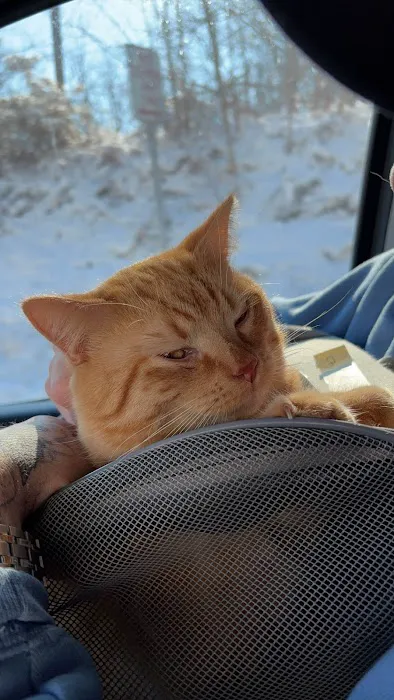 Promise Animal League 8