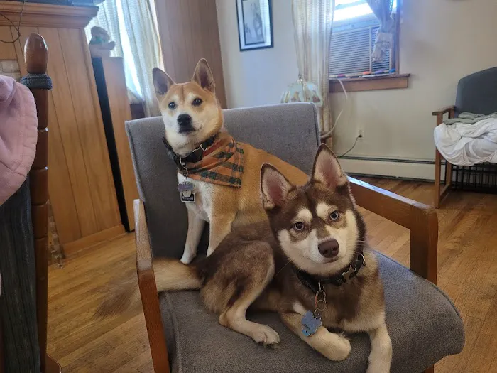 Lincoln Way Animal Hospital 1
