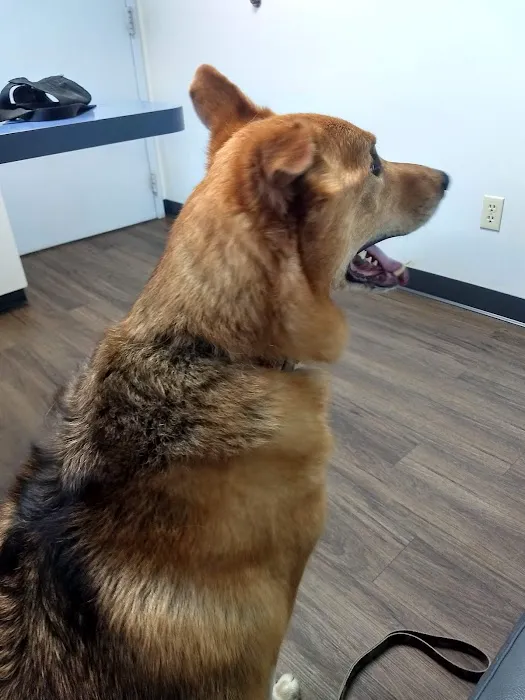 Lincoln Way Animal Hospital 7