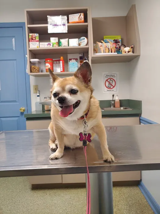 Shippensburg Animal Hospital 4