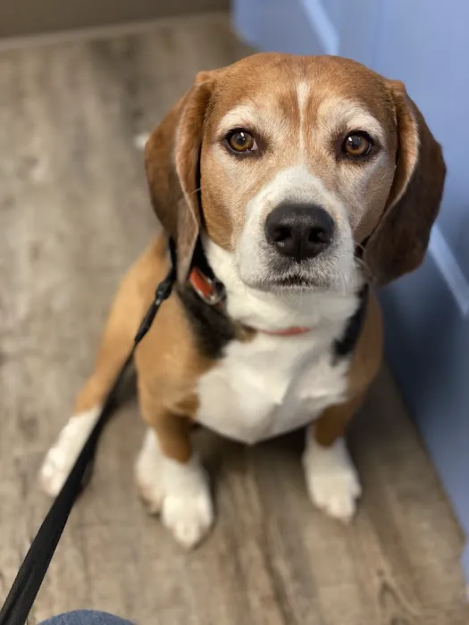 Shippensburg Animal Hospital 3