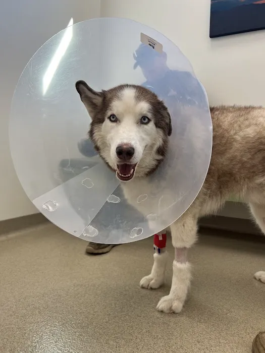 Mountain View Animal Emergency 6