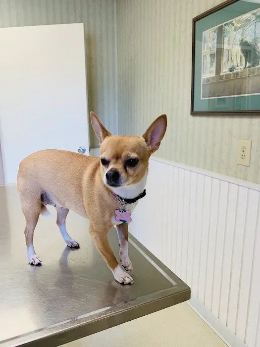 Park Circle Animal Hospital 8
