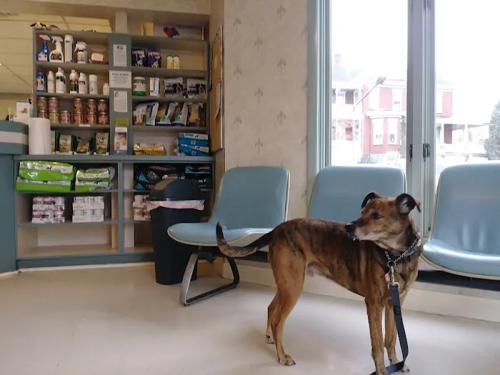 Park Circle Animal Hospital 5