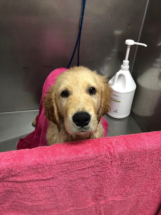 Easton Veterinary Clinic and Rehabilitation Center 4