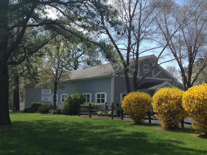 Easton Veterinary Clinic and Rehabilitation Center 1