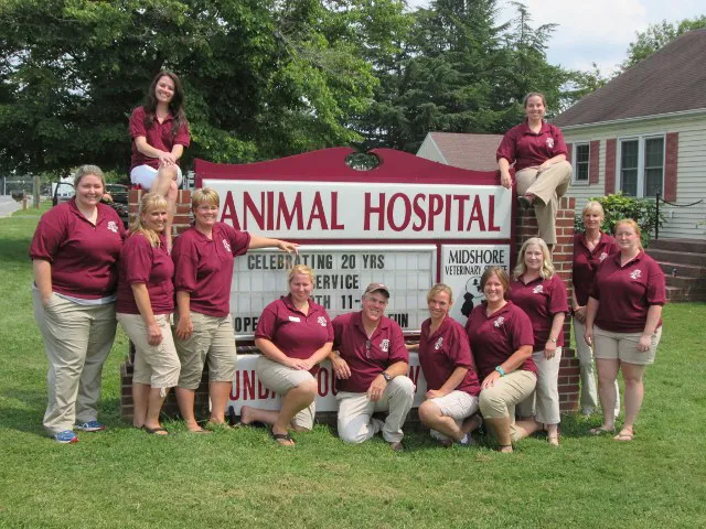 Midshore Veterinary Service 9