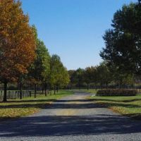 Kent Veterinary Center at Glasgow Farm ico