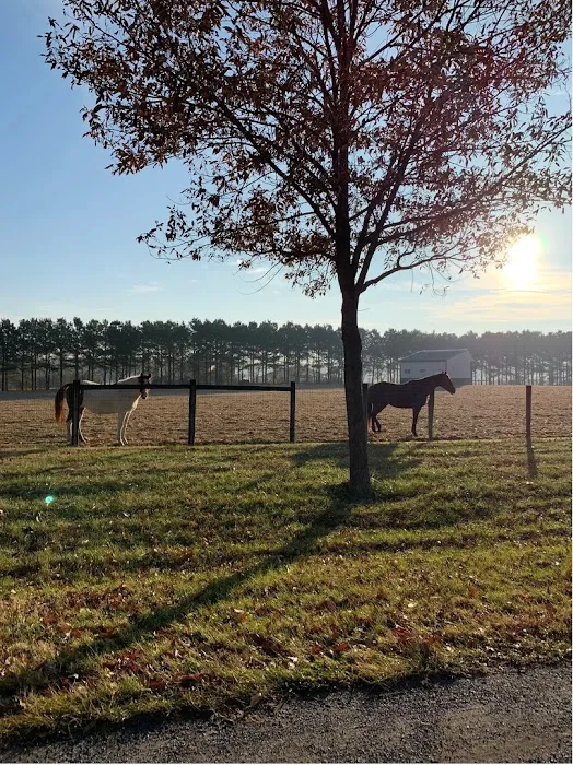 Kent Veterinary Center at Glasgow Farm 5