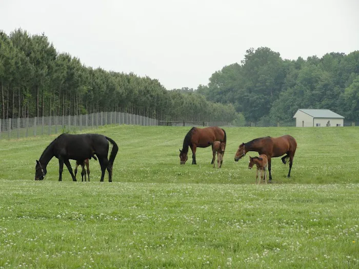 Kent Veterinary Center at Glasgow Farm 6