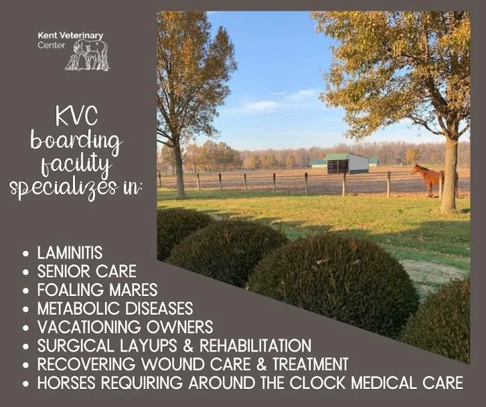 Kent Veterinary Center 6