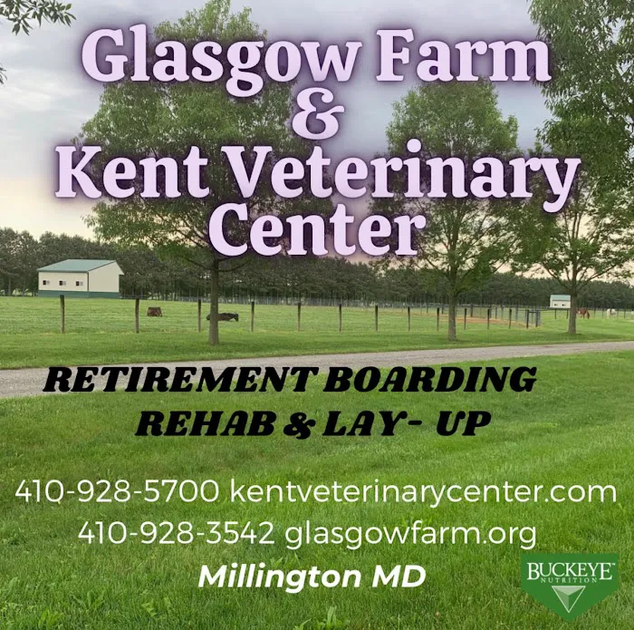 Kent Veterinary Center 2